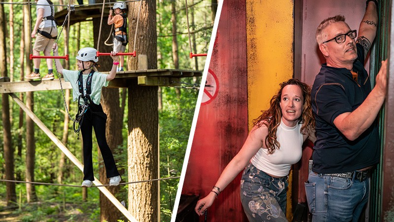 Activiteit / Dagje weg Hoog en vrij op de Veluwe