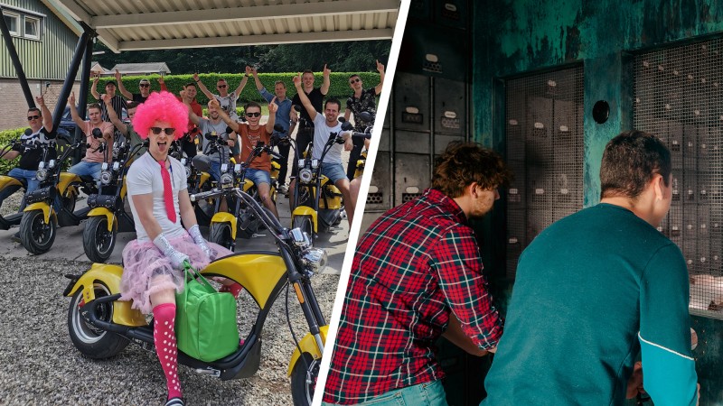 Activiteit / Dagje weg Vrij gezellig op de Veluwe